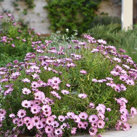 Il Giardino Di Benedetta Bed and Breakfast Λέτσε Εξωτερικό φωτογραφία