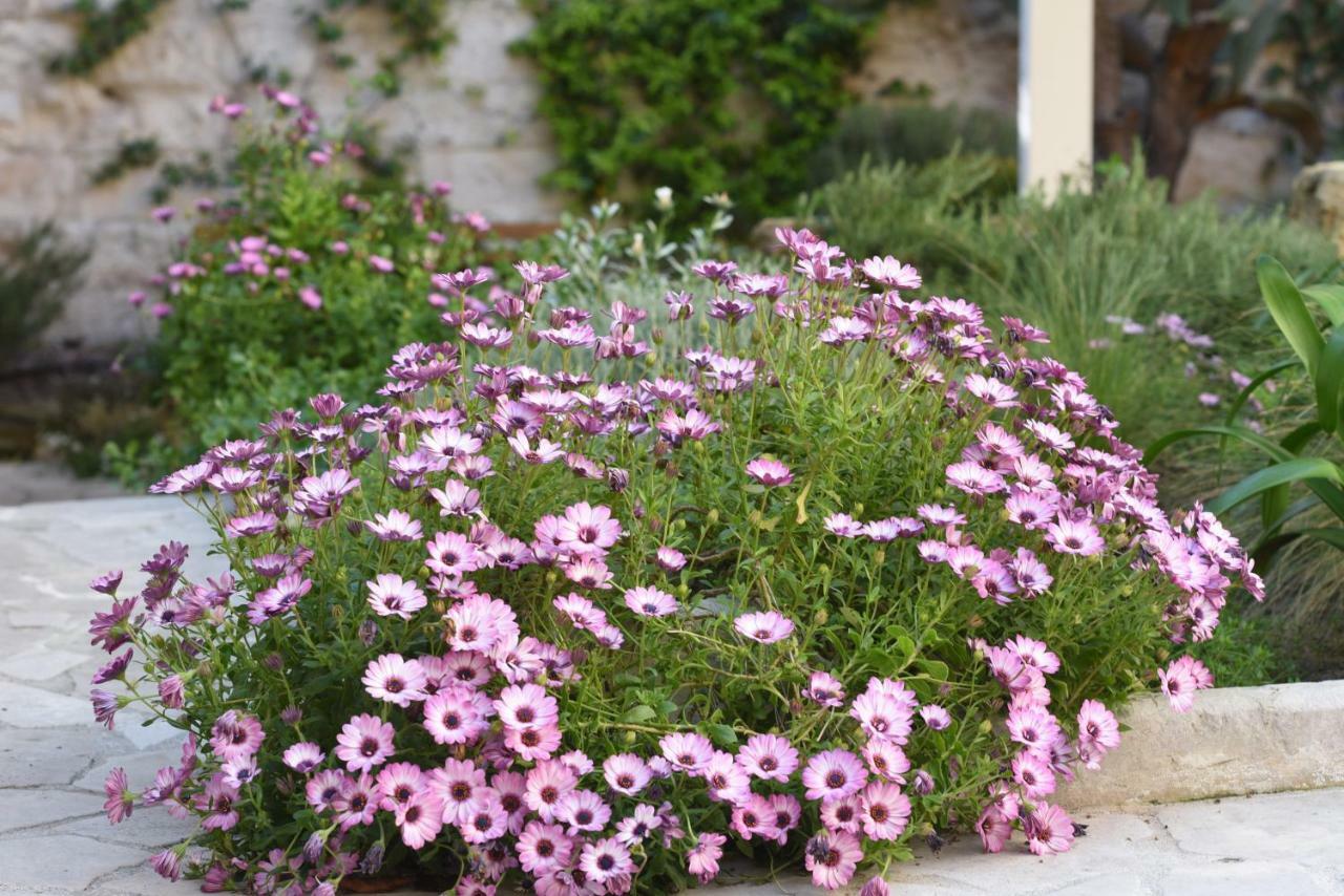Il Giardino Di Benedetta Bed and Breakfast Λέτσε Εξωτερικό φωτογραφία