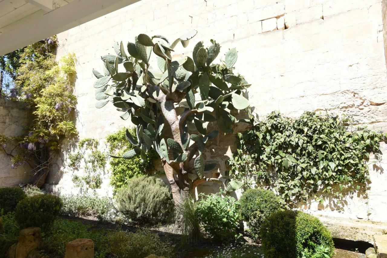 Il Giardino Di Benedetta Bed and Breakfast Λέτσε Εξωτερικό φωτογραφία